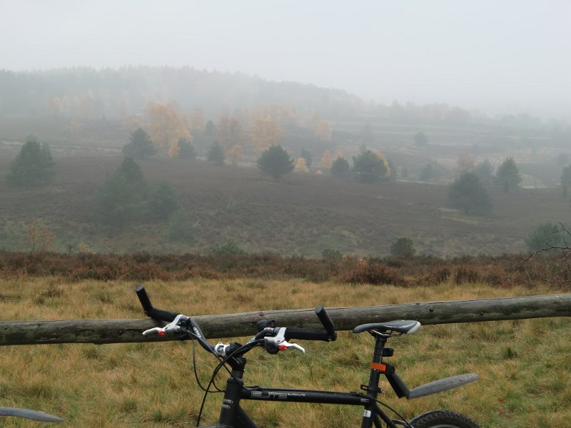 Wilseder Berg 1 2010 098
